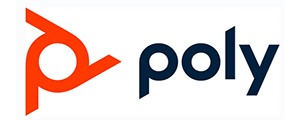 Poly-Logo